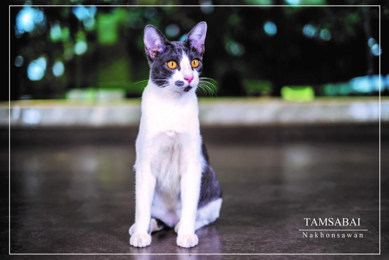 Tamsabai Hotel Nakhon Sawan Eksteriør bilde